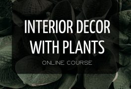 Interior Decor with plants course