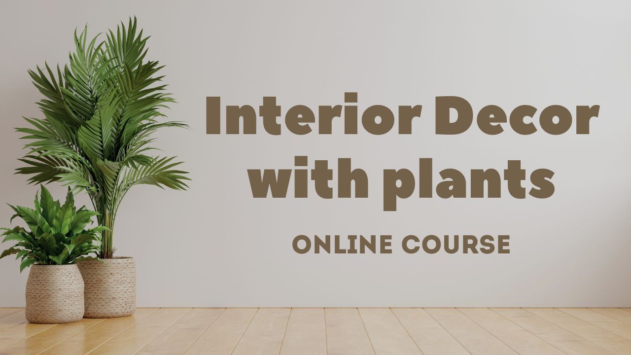 Interior Decor with plants course online